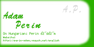 adam perin business card